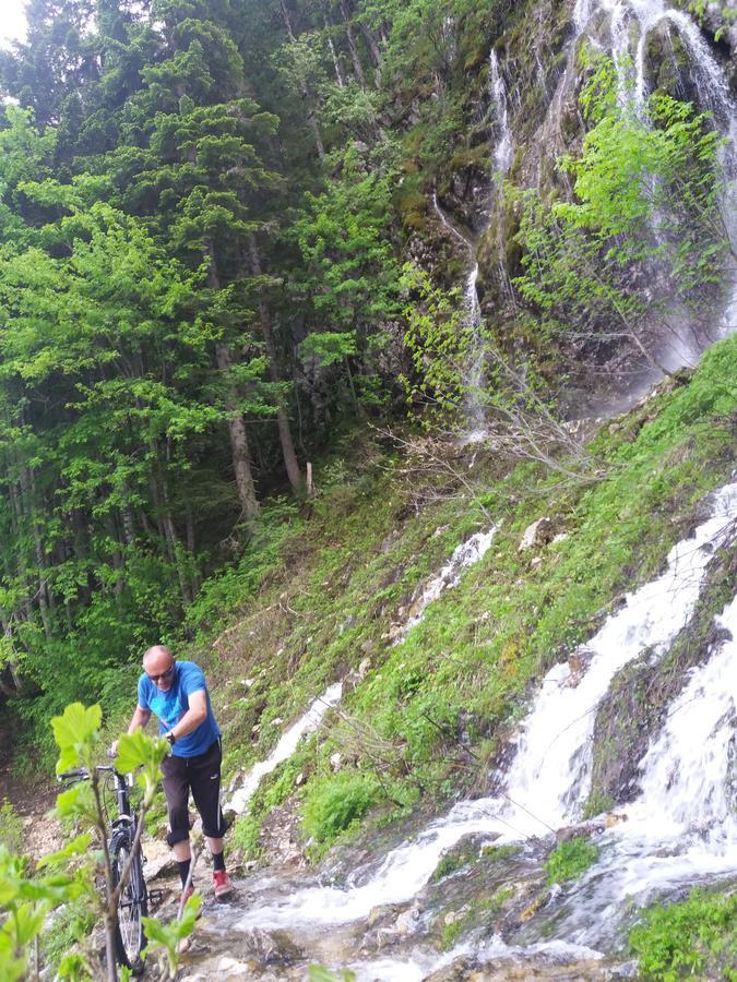 Golubovic Apartments Zabljak  Bagian luar foto